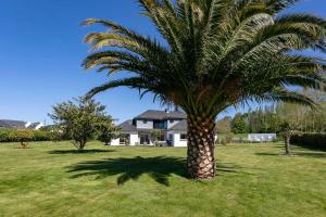 een palmboom in het midden van een tuin bij Villa avec jacuzzi, hammam et sauna in Plestin-les-Grèves