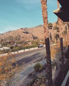 uma palmeira ao lado de uma estrada com uma montanha em Mountain view Cocoon inspired by Frida Kahlo with Pool, Hot Tub, Tennis, Downtown em Palm Springs