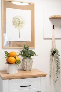 Fotografie z fotogalerie ubytování NO'EN'EL Apartment Zagreb v Záhřebu