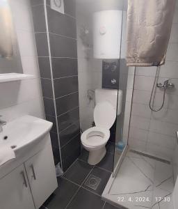 a bathroom with a toilet and a sink at Apartman Numero Uno in Vogošća