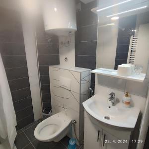 a small bathroom with a toilet and a sink at Apartman Numero Uno in Vogošća