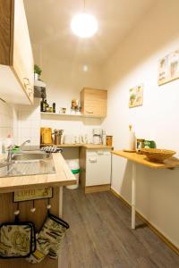 eine kleine Küche mit einer Spüle und einer Theke in der Unterkunft Ferienwohnung am Auensee in Leipzig