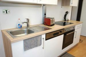 una pequeña cocina con fregadero y tostadora en Serenity Apartment 45m2 Free Parking, en Leoben