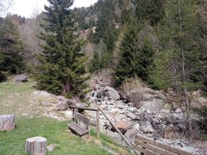 um banco de madeira sentado numa colina ao lado de um riacho em Stella Alpina Fabrezza em Saviore dellʼAdamello