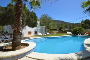 una piscina con una palmera en un patio en Can Grane, en San José