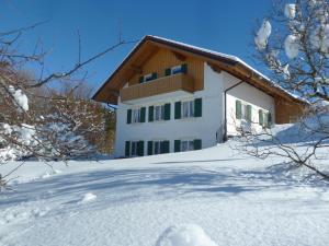 ein Haus im Schnee mit schneebedeckten Bäumen in der Unterkunft Ferienwohnung Hörnle in Bad Kohlgrub