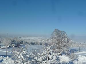 ein schneebedecktes Feld mit Bäumen und einer Stadt in der Unterkunft Ferienwohnung Hörnle in Bad Kohlgrub
