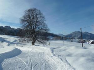 a snow covered road with a tree in the distance at Ferienwohnung Hörnle in Bad Kohlgrub