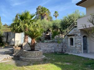 una casa con una palmera en un patio en ‚LUXURY‘ Villa Vittorianna Etna- Taormina & Seaview with Pool en Giardini Naxos