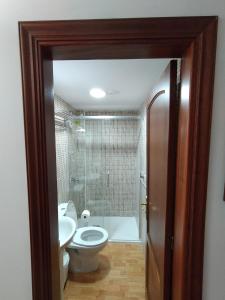 a bathroom with a toilet and a sink and a shower at Villa Florymar a 12 minutos del aeropuerto in Ingenio +42 photos
