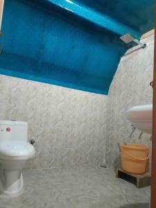a bathroom with a toilet and a blue ceiling at The Riverbank Nest in Jibhi