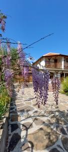 a tree with purple flowers hanging over a walkway at Golemi kamik Pirot Vlasi 2 in Pirot