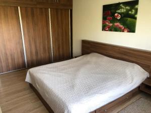 sypialnia z łóżkiem i obrazem na ścianie w obiekcie Argeselu Garden Villa - entire floor apartment, exclusive garden access w mieście Mărăcineni