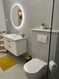 ein Badezimmer mit einem WC, einem Waschbecken und einem Spiegel in der Unterkunft Apartmani Vranković in Sveta Nedelja