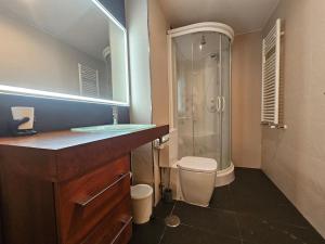 une salle de bains avec douche, toilettes et lavabo dans l'établissement 1A123 Exclusivo apto Céntrico by R2R Consulting, à Gijón