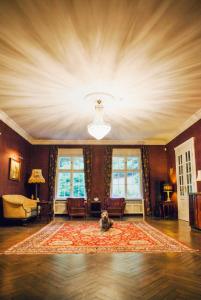 una sala de estar con un perro sentado en una alfombra en Villa Pepita, en Międzygórze