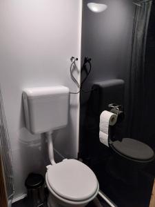 a bathroom with a white toilet and a sink at Dió-Dóm in Ebes