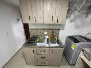 uma pequena cozinha com um lavatório e um fogão em Apartaloft en el centro 302 em Pereira