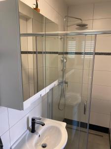 a bathroom with a sink and a glass shower at Apartments Lia-Jolie in Umag