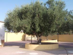 Fotografie z fotogalerie ubytování Hotel Mesón del Moro v destinaci Abarán