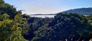 a view of a lake from a hill with trees at La Bergerie de Pauline - Bord de mer, vue unique in Pianottoli-Caldarello