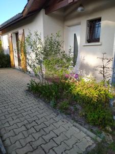a house with a brick driveway in front of it at Villa Nancea Bassin Arcachon Gujan Mestras in Gujan-Mestras +3 photos