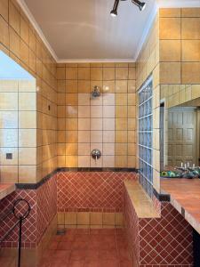 a tiled bathroom with a shower and a mirror at Sun Reef Village on Sea in Willemstad