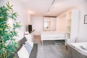 Un dormitorio blanco con una cama y una planta en Fully Renovated Studio - Luxembourg City, en Luxemburgo