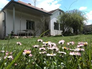 a house with a field of flowers in front of it at Kőpajta Vendégház in Barnag
