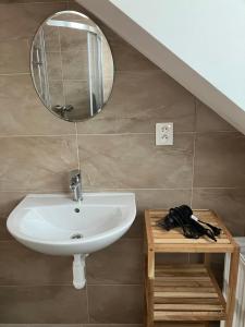 a bathroom with a sink and a mirror on a wall at Ubytovanie pri Kúpeľoch in Bojnice