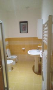 ein Bad mit einem Waschbecken und einem WC in der Unterkunft Affittacamere al picchio verde in Monsampietro Morico