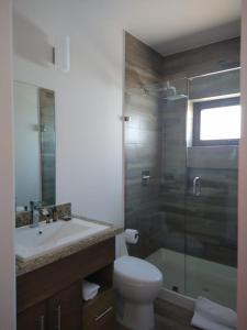 La salle de bains est pourvue de toilettes, d'un lavabo et d'une douche. dans l'établissement Suite Loft Amplio Nuevo Salida a CDMX 204A, à Querétaro