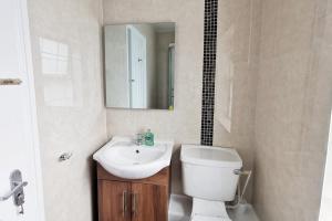 a bathroom with a sink and a toilet and a mirror at Spacious 2bed apartment city centre in Dublin