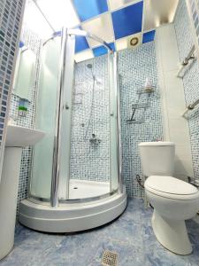 a bathroom with a shower and a toilet at Heyvah - Guest House in Tashkent in Tashkent