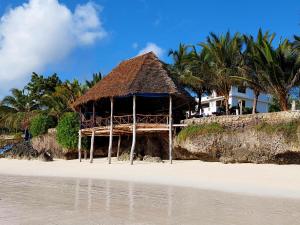 a hut on the beach next to the water at Queen of Sheba Beach Lodge in Pongwe