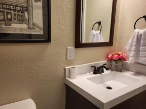 a bathroom with a white sink and a toilet at City Scape Homey 1 BR efficiency Apt near TTU and downtown in Cookeville