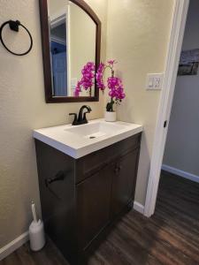 un bagno con lavandino, specchio e fiori viola di Country Roads 1BR apartment near TTU & downtown a Cookeville Altre 21 foto