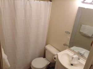 uma casa de banho com um WC, um lavatório e um chuveiro em 1 Bedroom Apartment for you! Next to Fort Sill em Lawton