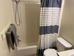 une salle de bain avec un rideau de douche et des toilettes dans l'établissement Charming 1-BR upstairs apartment near Fort Sill!, à Lawton
