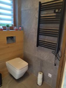 a bathroom with a white toilet in a room at Gładyszówka - Chatka w Gorcach in Ponice +61 photos