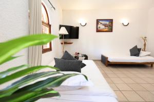 una sala de estar con una cama y un sofá en Hotel Bosque Caribe, 5th Av. zone, en Playa del Carmen