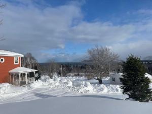 a yard covered in snow next to a house at Ardan Cottage in Ingonish in Ingonish Beach +14 photos
