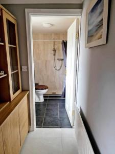 a bathroom with a toilet and a walk in shower at Creevelea Manor in Galway