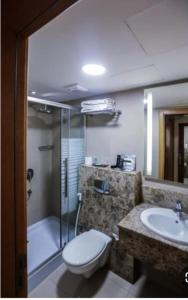 W łazience znajduje się toaleta, umywalka i prysznic. w obiekcie leen Guest House w mieście Wadi Musa