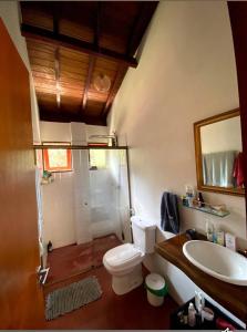 a bathroom with a toilet and a sink and a shower at Casa Cacau Boutique B&B - Sítio Salamandra Vale do Matutu in Aiuruoca