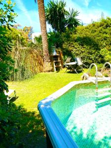 a swimming pool in a yard with a palm tree at Romantic Private Cabin in Estepona