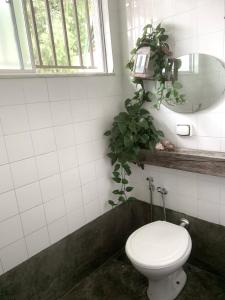 een badkamer met een toilet en een spiegel en een plant bij Preferido em Oliveira in Oliveira