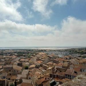 eine Luftblick auf eine Stadt mit Häusern und das Meer in der Unterkunft Entre port et Village in Gruissan