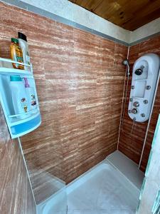 a bathroom with a shower with a small refrigerator at Spanish style flat close to center in Alicante +38 photos