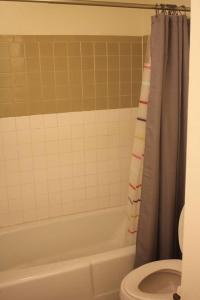 ein Bad mit einem Duschvorhang und einem WC in der Unterkunft 1 bedroom apartment within sight of Fort. Sill in Lawton